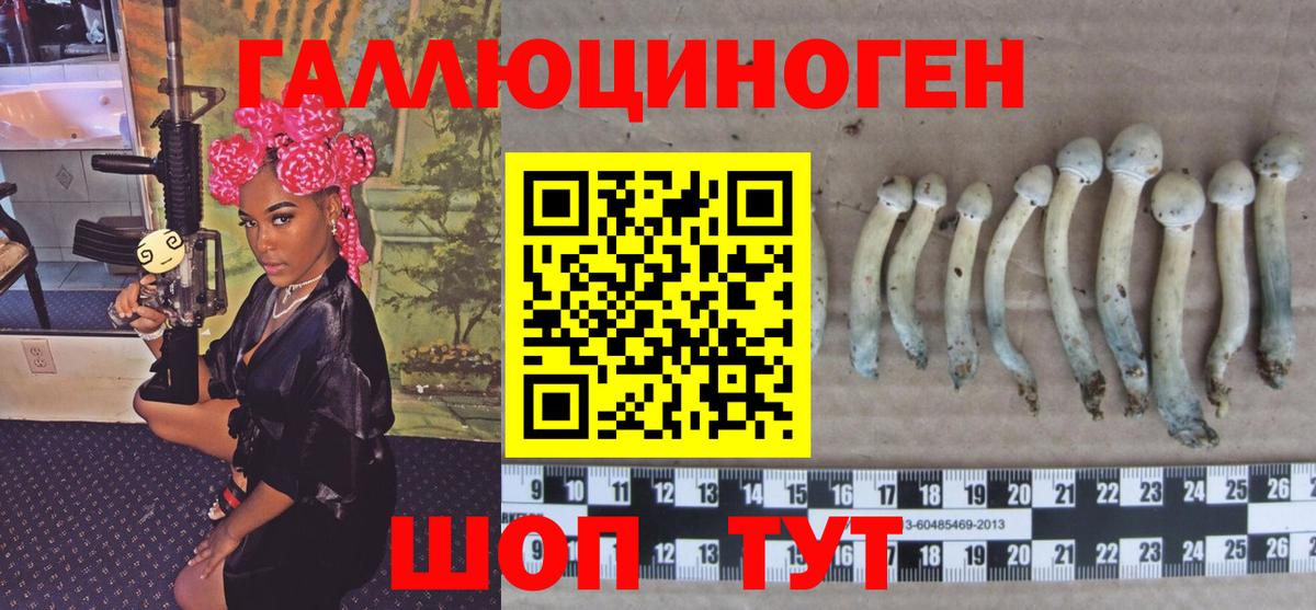 купить наркоту  Псилоцибиновые грибы MAGIC MUSHROOMS  Вход с VPN  Дюртюли 