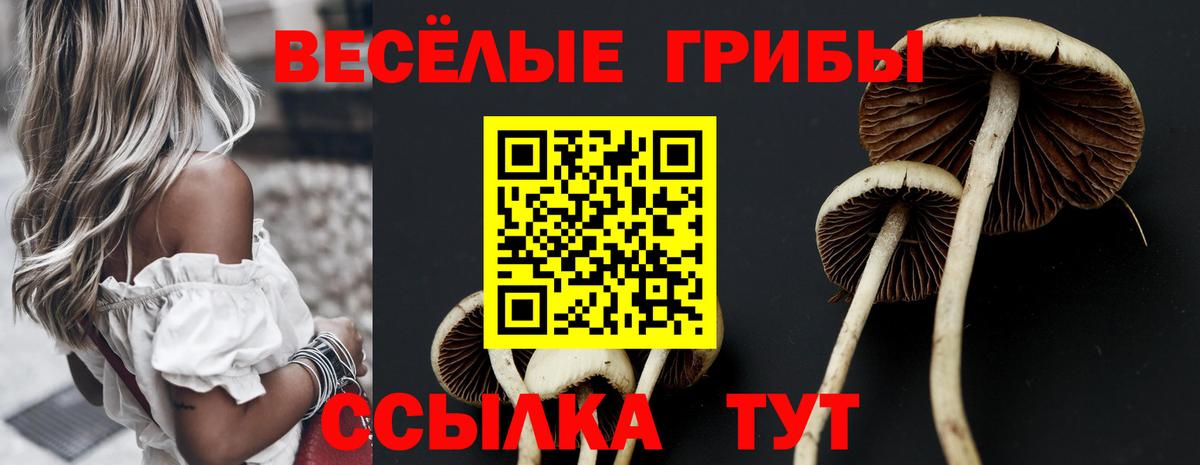 Галлюциногенные грибы Psilocybine cubensis Дюртюли